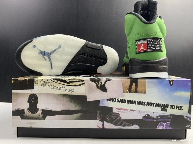 Rep Air Ducks 5 CK6631-307 Jordan SE Oregon 0814